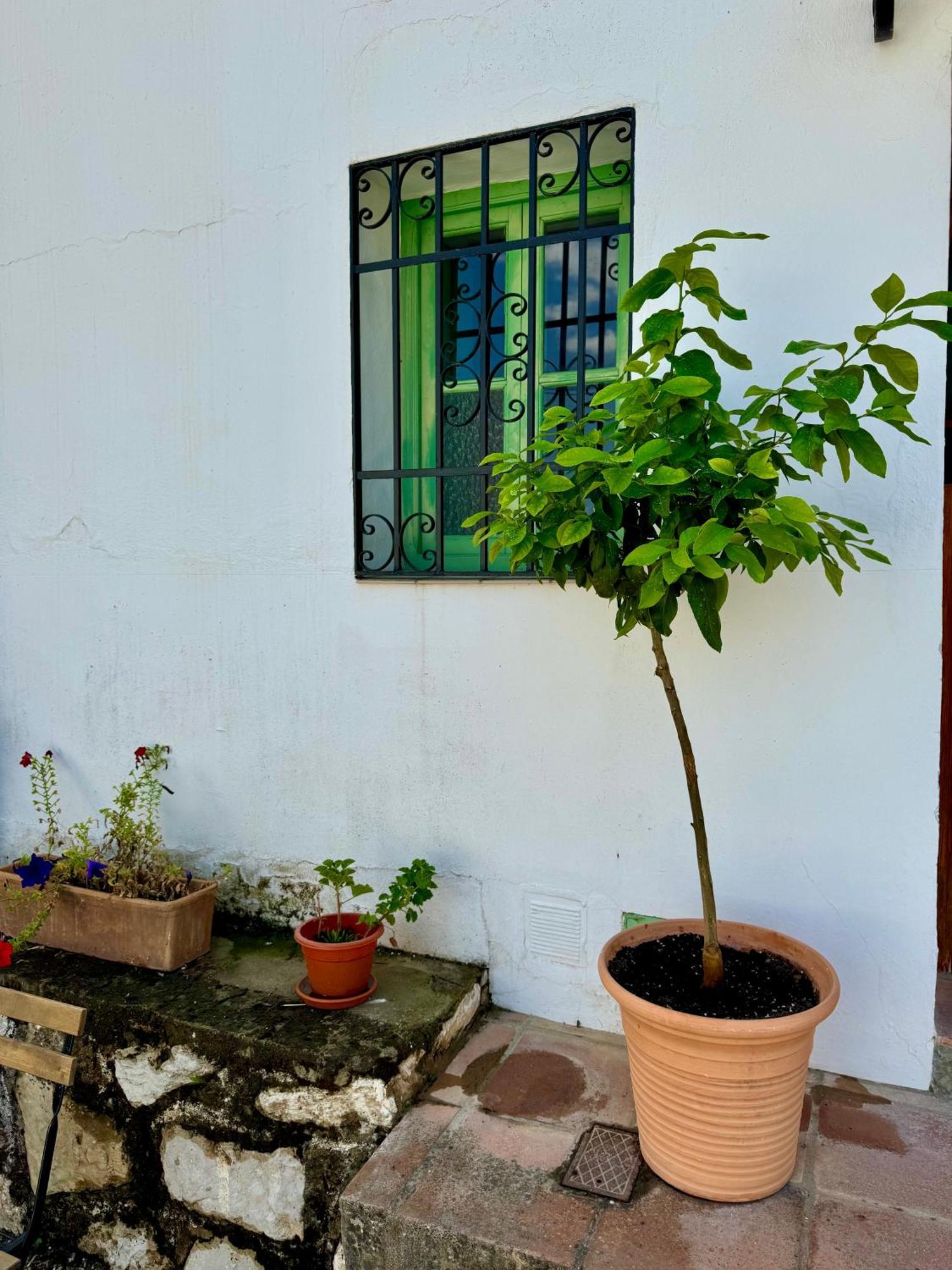 モンテハケ Casa Leonヴィラ エクステリア 写真